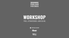 Workshop-Pool-Attraktionen-Abdeckung-SWIMMINGPOOL-AND-FRIENDS-novacomet-x-fluvo-x-BAC